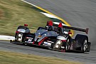 Level 5 enters TUDOR championship Prototype Challenge class Level 5 enters TUDOR championship Prototype Challenge class