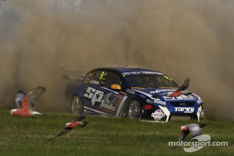 Shane van Gisbergen spins into the grass as birds clear the way