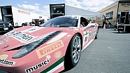 Ferrari Challenge Montreal 2013 (HP-Tech Motorsport) Ferrari Challenge Montreal 2013 (HP-Tech Motorsport)