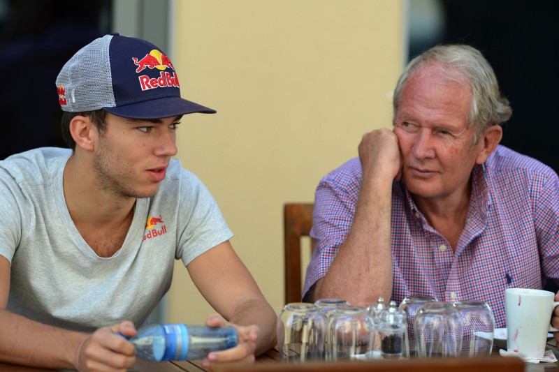 Pierre Gasly, Helmut Marko