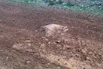 ELPA Rally | Fot. cersanitrally.pl