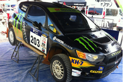 Colt Naniego Romy | Fot. naniroma.com