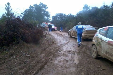 Rally de Portugal
