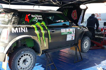 Mini Naniego Romy | Fot. naniroma.com