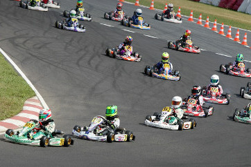Rok Cup Poland