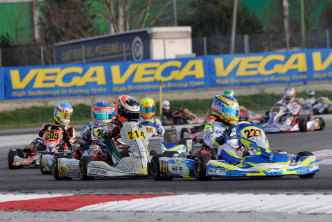 Logan Sargeant | Fot. WSK Promotion