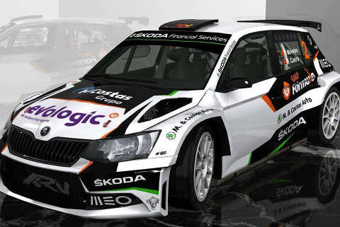 Fabia Pedro Meirelesa