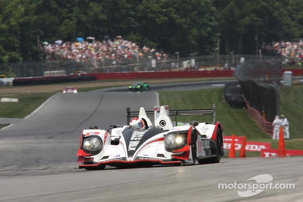 #6 Muscle Milk Pickett Racing HPD ARX-03a Honda: Lucas Luhr, Klaus Graf