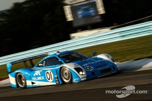 # 01 Telmex Chip Genassi Racing with BMW Riley: Scott Pruett, Memo