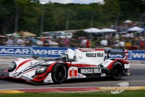 #6 Muscle Milk Pickett Racing HPD ARX-03a Honda: Lucas Luhr, Klaus Graf